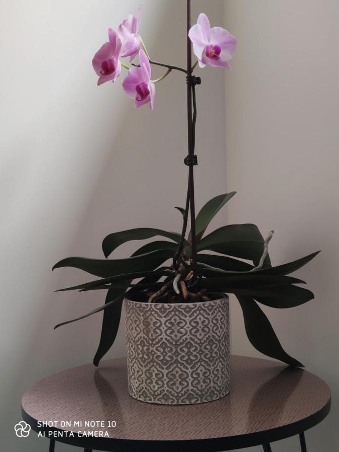 Chambre D'Hotes Du Muguet Avec Sdb Privative Le Mans Exteriör bild